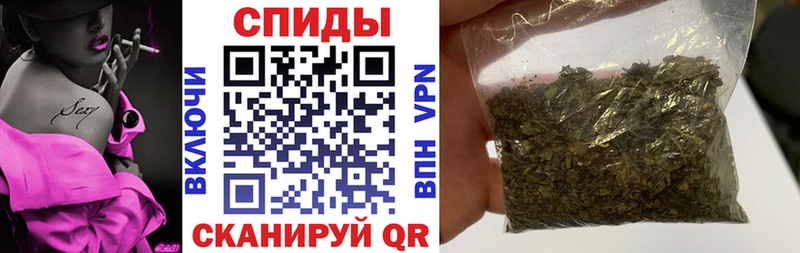 Бутират буратино  Купить  Котлас 