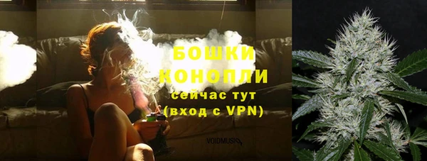 шишки Магадан