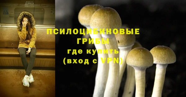 шишки Магадан