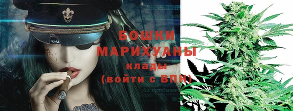 шишки Магадан