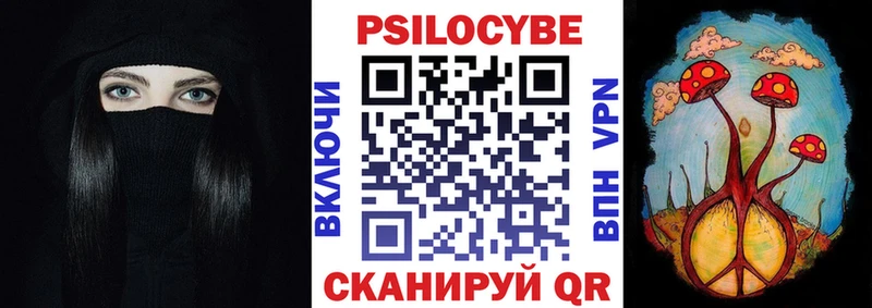 Купить закладки  Котлас  Псилоцибиновые грибы мицелий 